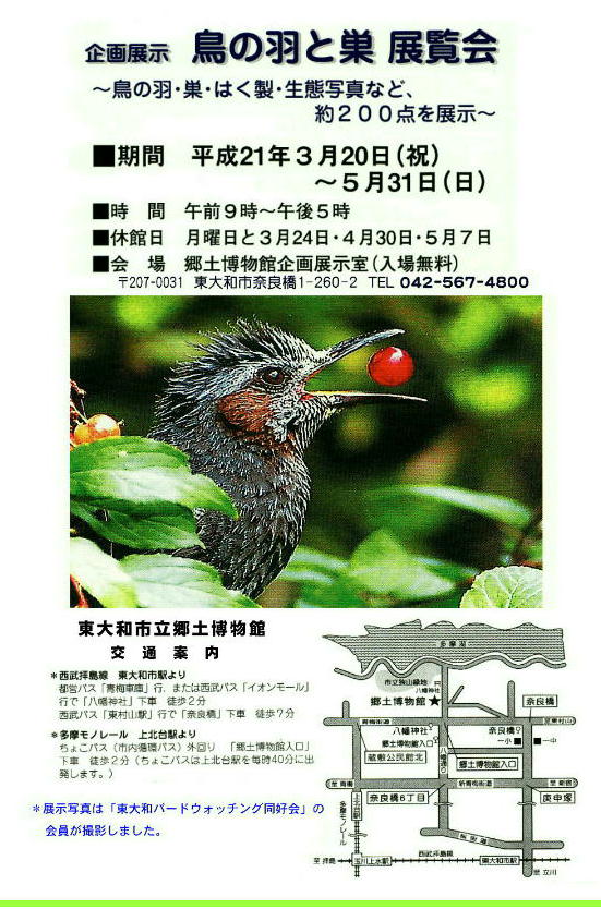 20090320 東大和郷土博物館企画展示「鳥の羽と巣　展覧会」案内はがき.jpg