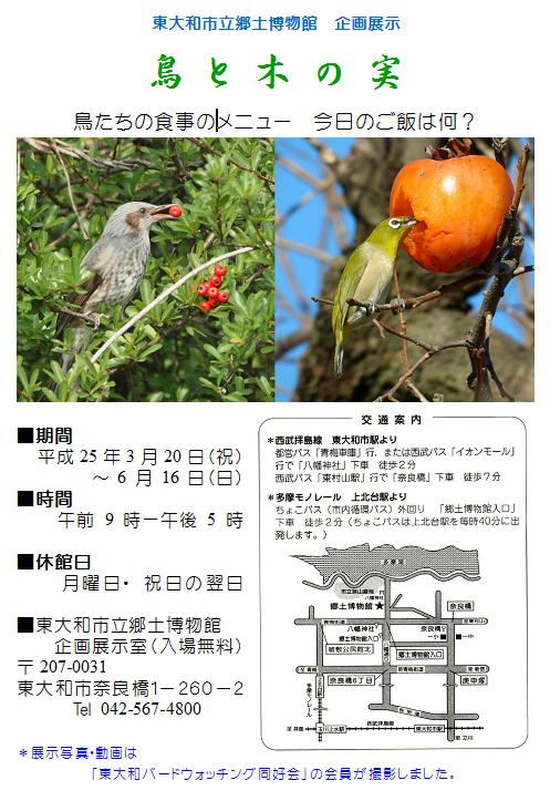 20130319 企画展示-鳥と木の実.jpg
